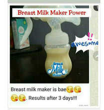 Load image into Gallery viewer, Breastfeeding Vegan Powder/Lactation/Smoothie Mix (Dr Annie’s Breast Milk Maker)
