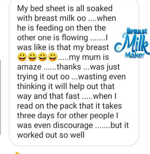 Breastfeeding /Lactation Cereal (Dr Annie's Milk Maker)