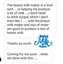 Load image into Gallery viewer, Breastfeeding Vegan Powder/Lactation/Smoothie Mix (Dr Annie’s Breast Milk Maker)
